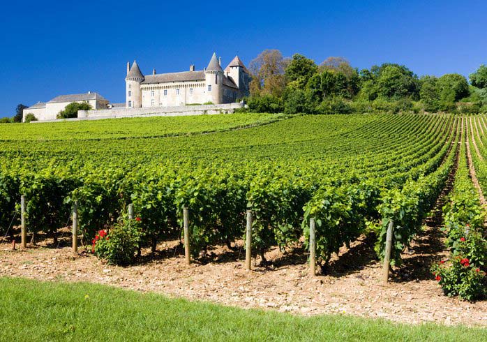 eine Landschaft geprägt von alten Burgen und Schlössern inmitten von Weinanbaugebieten