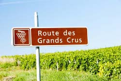Wandern Sie entlang der Route des Grands Crus