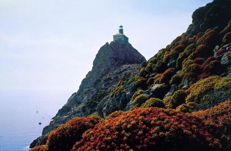 Vela Palagruža Lighthouse