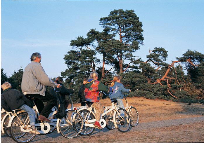 Familie auf Fahrrädern im Nationalpark Hoge Veluwe (Quelle: NBTC )