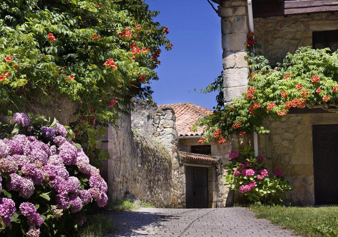 Blossoming Asturias